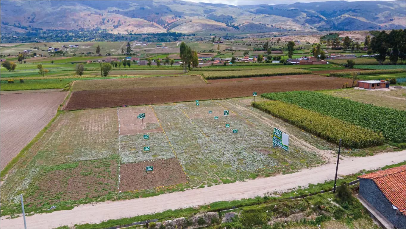 Proyecto entregado La Huerta Vista Alegre de Ancosur