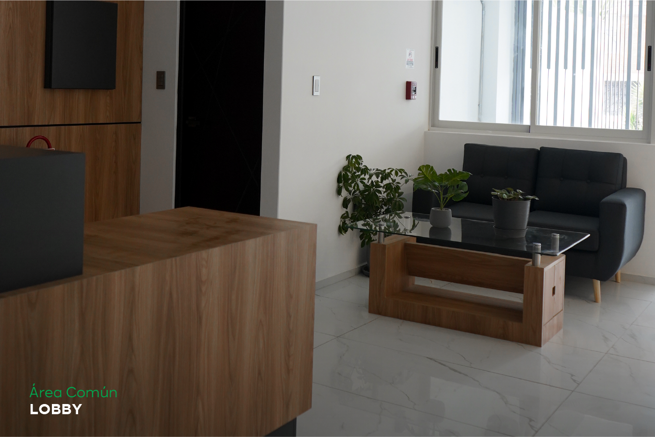 Lobby de Distrito San Carlos
