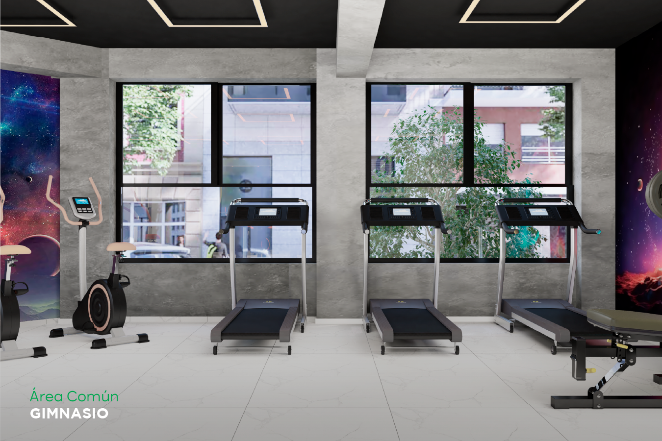 Gimnasio de Neo Origen